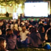 Animafest_zrinjevac_projekcija_filma2