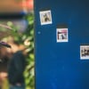 Animafest_29_9_24