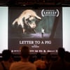Animafest_4