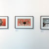 Animafest_mulloy-6