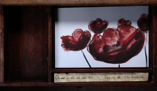 Vlr_roses