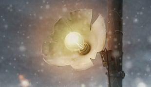 Digitised_photo1