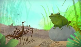Img-mille-pattes_et_crapaud-1b-300dpi