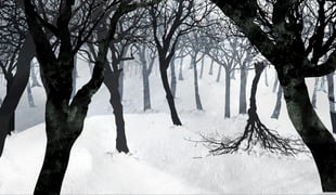 Silent_touch_(2)