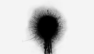 Dandelionstill01