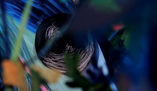 Animatie_wietsepalmans_bes_3