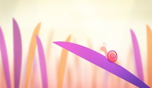 Bloom