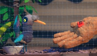 Birdlime_still_01