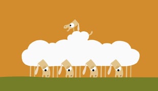Sheep_still_01