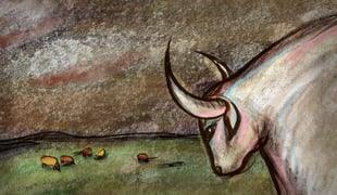 Vacas_cows1