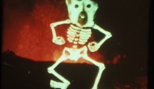 Skelehellavision_1