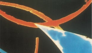 Color_box_len_lye_1