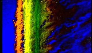 Bild_033
