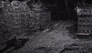 Ghost_cell
