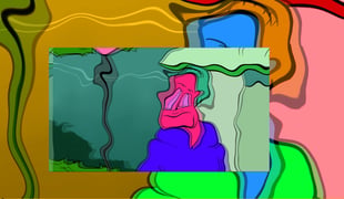 Vizual1