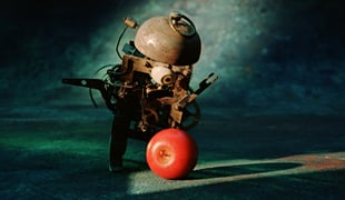 Apple_thieves
