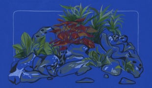 Butterfly_jam_1