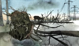 05_still_03_rotvelt