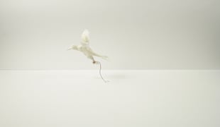 Still_frame_1