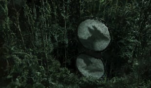4k_2020_2022_16_compound_eyes_of_tropical_single_channel_video_color_sound_year_2022_2022_17_mins_1