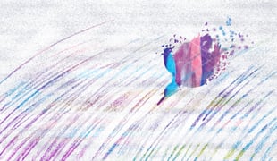 Penguins_1