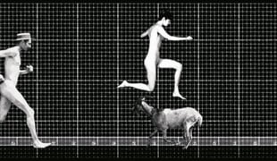 14_zoopraxiscope_