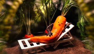 Carrotica_filmstill_02