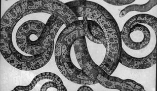 Historia_naturae_2