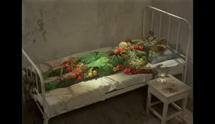 Flora_1