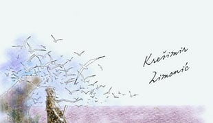 Zimonic_1
