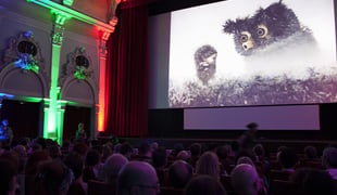 Animafestzagreb_27
