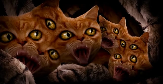 Run_the_jewels_meowpurrdy_2