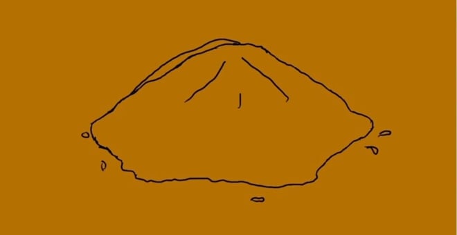 7_bird_2