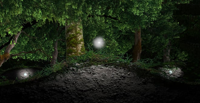 Thewildwood_diptych_still_2