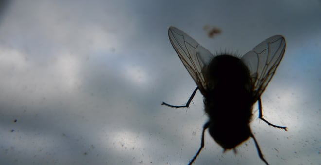P1150929
