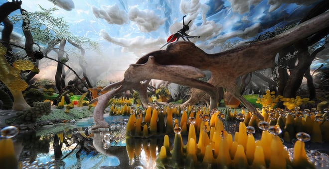 Bridge_of_antlers