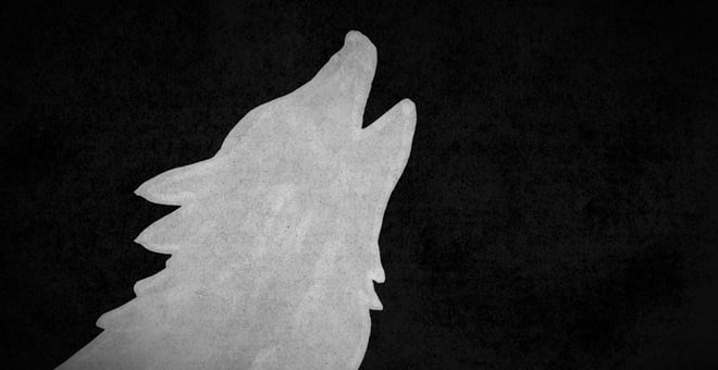 Wolves_1