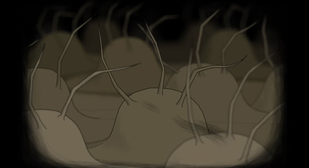 Still1