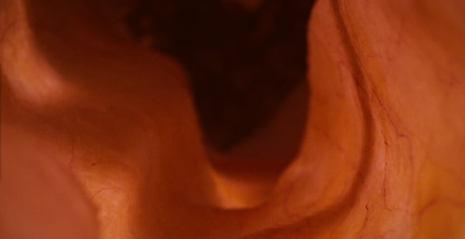 Life_01_eileiter_300dpi