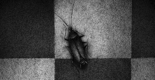 Oni_zive_nocu_02