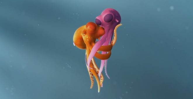 Oktapodi_01