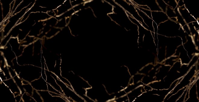 Sve_vam_zdravo_still_01
