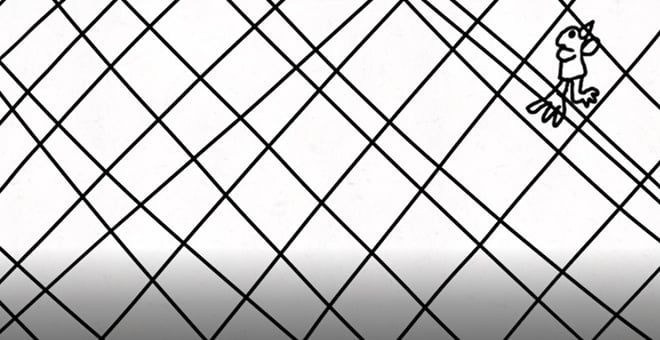 7_bird