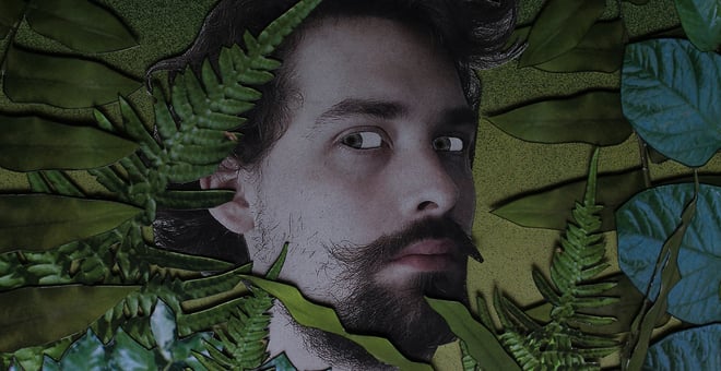 Thewildwood_diptych_main_still_1