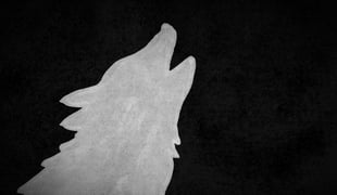 Wolves_1