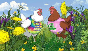 Free_the_chickens_1