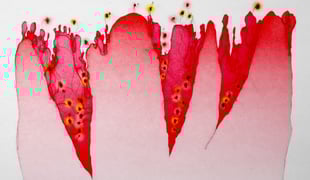 Ode_to_perfume_1