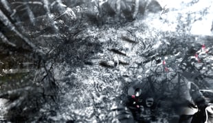 First_breath_1