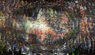 Invisions
