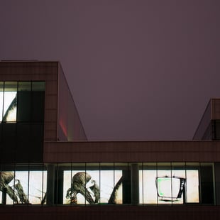 Animafest_goes_msu_projections_on_the_facade_1_